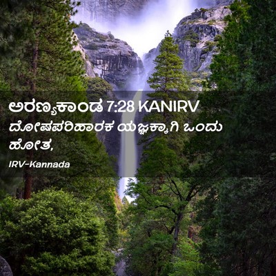 Picture 02 - ಅರಣ್ಯಕಾಂಡ 7:28 KANIRV - ದೋಷಪರಿಹಾರಕ - Bible Verse Picture