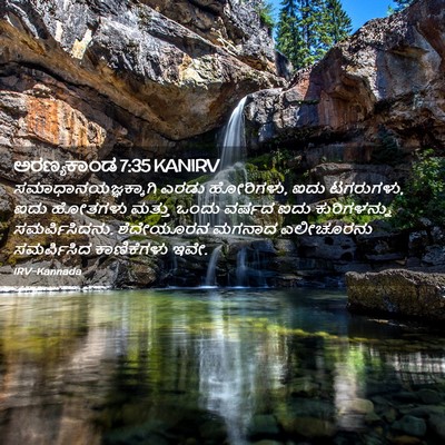 Picture 02 - ಅರಣ್ಯಕಾಂಡ 7:35 KANIRV - ಸಮಾಧಾನಯಜ್ಞಕ್ಕಾಗಿ - Bible Verse Picture
