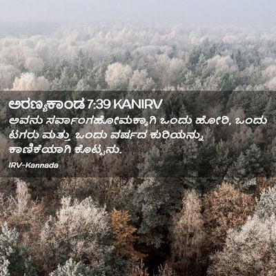 Picture 02 - ಅರಣ್ಯಕಾಂಡ 7:39 KANIRV - ಅವನು - Bible Verse Picture