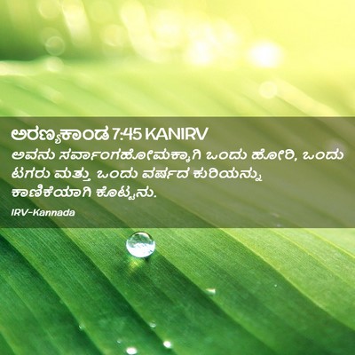 Picture 02 - ಅರಣ್ಯಕಾಂಡ 7:45 KANIRV - ಅವನು - Bible Verse Picture
