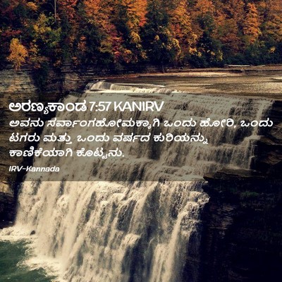 Picture 02 - ಅರಣ್ಯಕಾಂಡ 7:57 KANIRV - ಅವನು - Bible Verse Picture