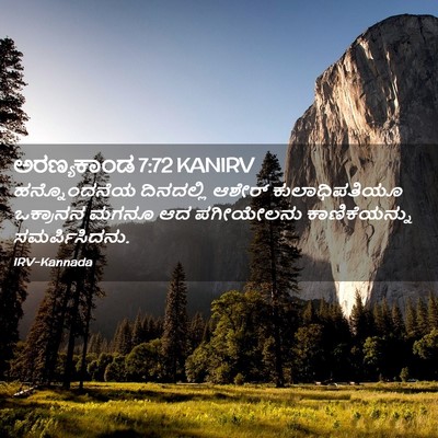 Picture 02 - ಅರಣ್ಯಕಾಂಡ 7:72 KANIRV - ಹನ್ನೊಂದನೆಯ - Bible Verse Picture