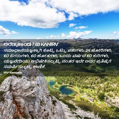 Picture 02 - ಅರಣ್ಯಕಾಂಡ 7:88 KANIRV - ಸಮಾಧಾನಯಜ್ಞಕ್ಕಾಗಿ - Bible Verse Picture