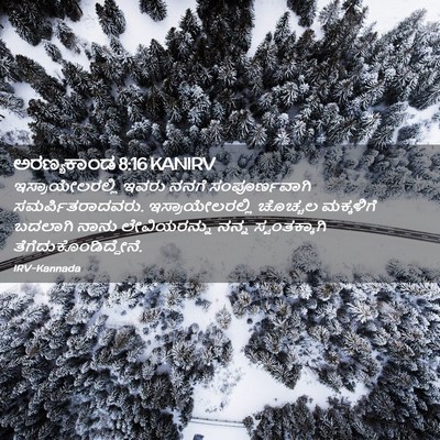 Picture 02 - ಅರಣ್ಯಕಾಂಡ 8:16 KANIRV - ಇಸ್ರಾಯೇಲರಲ್ಲಿ - Bible Verse Picture