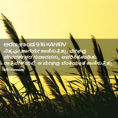 Picture 02 - ಅರಣ್ಯಕಾಂಡ 9:16 KANIRV - ನಿತ್ಯವೂ ಹಾಗೆಯೇ - Bible Verse Picture