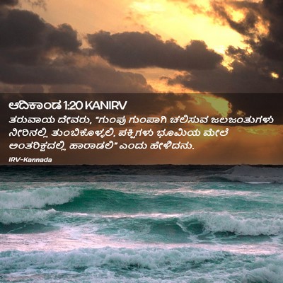 Picture 02 - ಆದಿಕಾಂಡ 1:20 KANIRV - ತರುವಾಯ ದೇವರು, - Bible Verse Picture