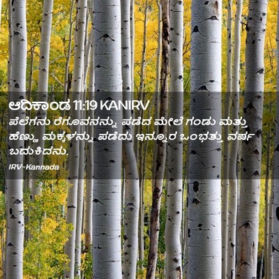 Picture 02 - ಆದಿಕಾಂಡ 11:19 KANIRV - ಪೆಲೆಗನು - Bible Verse Picture