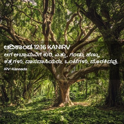 Picture 02 - ಆದಿಕಾಂಡ 12:16 KANIRV - ಆಗ ಅಬ್ರಾಮನಿಗೆ - Bible Verse Picture
