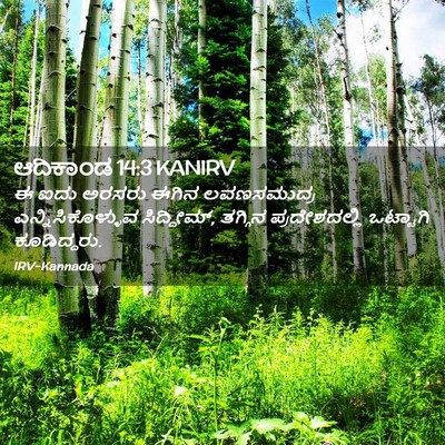 Picture 02 - ಆದಿಕಾಂಡ 14:3 KANIRV - ಈ ಐದು ಅರಸರು ಈಗಿನ - Bible Verse Picture