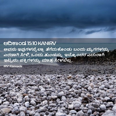 Picture 02 - ಆದಿಕಾಂಡ 15:10 KANIRV - ಅವನು - Bible Verse Picture