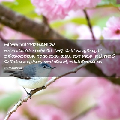 Picture 02 - ಆದಿಕಾಂಡ 19:12 KANIRV - ಆಗ ಆ ದೂತರು ಲೋಟನಿಗೆ, - Bible Verse Picture