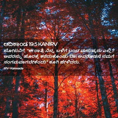 Picture 02 - ಆದಿಕಾಂಡ 19:5 KANIRV - ಲೋಟನಿಗೆ, “ಈ ರಾತ್ರಿ - Bible Verse Picture