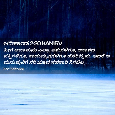 Picture 02 - ಆದಿಕಾಂಡ 2:20 KANIRV - ಹೀಗೆ ಆದಾಮನು ಎಲ್ಲಾ - Bible Verse Picture
