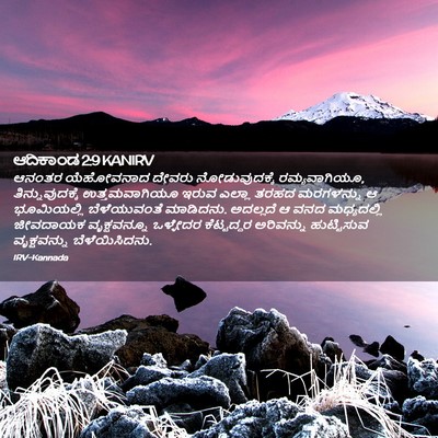 Picture 02 - ಆದಿಕಾಂಡ 2:9 KANIRV - ಆನಂತರ ಯೆಹೋವನಾದ - Bible Verse Picture