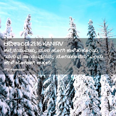 Picture 02 - ಆದಿಕಾಂಡ 21:16 KANIRV - ಕಲ್ಲೆಸೆಯುವಷ್ಟು - Bible Verse Picture