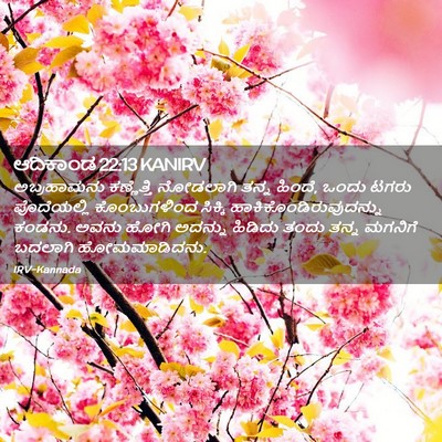 Picture 02 - ಆದಿಕಾಂಡ 22:13 KANIRV - ಅಬ್ರಹಾಮನು - Bible Verse Picture