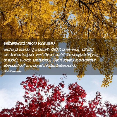 Picture 02 - ಆದಿಕಾಂಡ 28:22 KANIRV - ಇದಲ್ಲದೆ ನಾನು - Bible Verse Picture