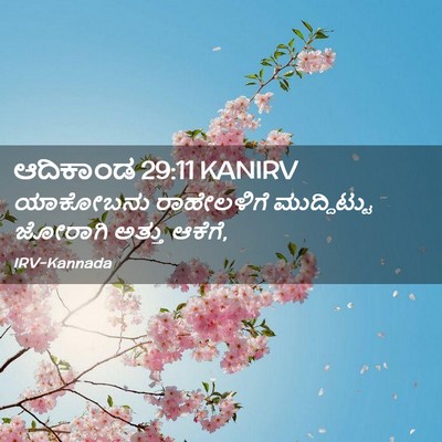 Picture 02 - ಆದಿಕಾಂಡ 29:11 KANIRV - ಯಾಕೋಬನು ರಾಹೇಲಳಿಗೆ - Bible Verse Picture