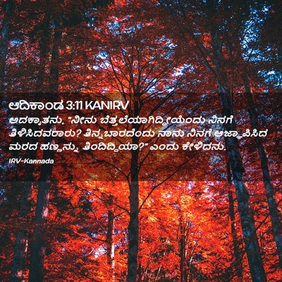 Picture 02 - ಆದಿಕಾಂಡ 3:11 KANIRV - ಅದಕ್ಕಾತನು, “ನೀನು - Bible Verse Picture