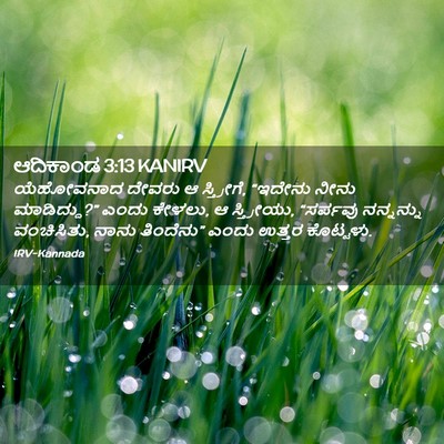 Picture 02 - ಆದಿಕಾಂಡ 3:13 KANIRV - ಯೆಹೋವನಾದ ದೇವರು ಆ - Bible Verse Picture