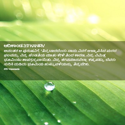 Picture 02 - ಆದಿಕಾಂಡ 3:17 KANIRV - ಅನಂತರ ಆ ಪುರುಷನಿಗೆ, - Bible Verse Picture