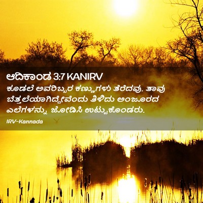 Picture 02 - ಆದಿಕಾಂಡ 3:7 KANIRV - ಕೂಡಲೆ ಅವರಿಬ್ಬರ - Bible Verse Picture