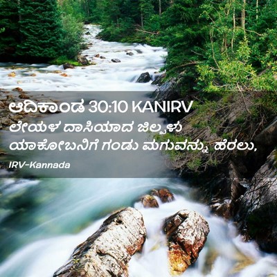 Picture 02 - ಆದಿಕಾಂಡ 30:10 KANIRV - ಲೇಯಳ ದಾಸಿಯಾದ - Bible Verse Picture