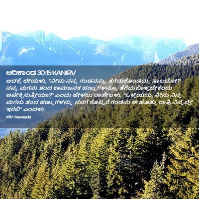 Picture 02 - ಆದಿಕಾಂಡ 30:15 KANIRV - ಅದಕ್ಕೆ ಲೇಯಳು, - Bible Verse Picture