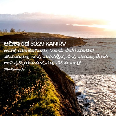 Picture 02 - ಆದಿಕಾಂಡ 30:29 KANIRV - ಅದಕ್ಕೆ ಯಾಕೋಬನು, - Bible Verse Picture