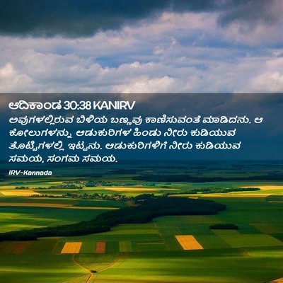 Picture 02 - ಆದಿಕಾಂಡ 30:38 KANIRV - ಅವುಗಳಲ್ಲಿರುವ - Bible Verse Picture