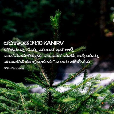 Picture 02 - ಆದಿಕಾಂಡ 34:10 KANIRV - ದೇಶವೆಲ್ಲಾ ನಿಮ್ಮ - Bible Verse Picture