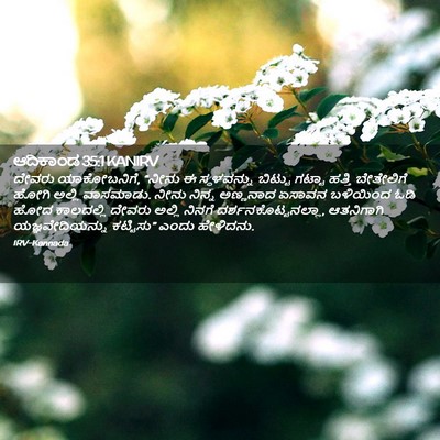 Picture 02 - ಆದಿಕಾಂಡ 35:1 KANIRV - ದೇವರು ಯಾಕೋಬನಿಗೆ, - Bible Verse Picture