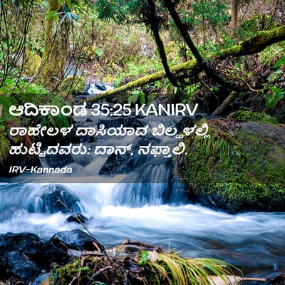 Picture 02 - ಆದಿಕಾಂಡ 35:25 KANIRV - ರಾಹೇಲಳ ದಾಸಿಯಾದ - Bible Verse Picture