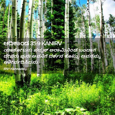 Picture 02 - ಆದಿಕಾಂಡ 35:9 KANIRV - ಯಾಕೋಬನು ಪದ್ದನ್ - Bible Verse Picture