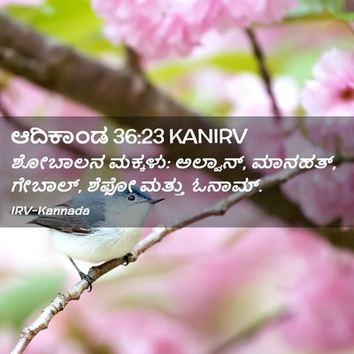 Picture 02 - ಆದಿಕಾಂಡ 36:23 KANIRV - ಶೋಬಾಲನ ಮಕ್ಕಳು: - Bible Verse Picture