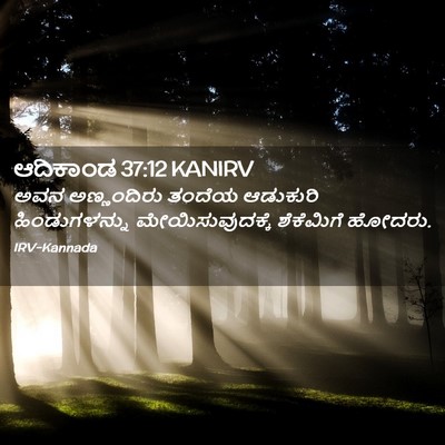 Picture 02 - ಆದಿಕಾಂಡ 37:12 KANIRV - ಅವನ ಅಣ್ಣಂದಿರು - Bible Verse Picture