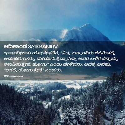 Picture 02 - ಆದಿಕಾಂಡ 37:13 KANIRV - ಇಸ್ರಾಯೇಲನು - Bible Verse Picture