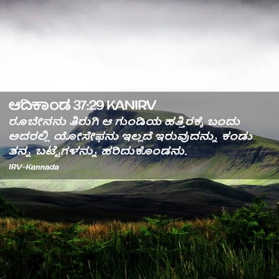 Picture 02 - ಆದಿಕಾಂಡ 37:29 KANIRV - ರೂಬೇನನು ತಿರುಗಿ ಆ - Bible Verse Picture