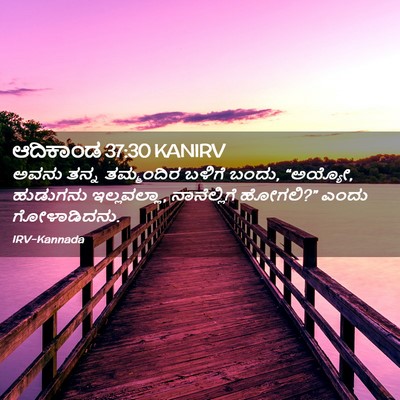 Picture 02 - ಆದಿಕಾಂಡ 37:30 KANIRV - ಅವನು ತನ್ನ - Bible Verse Picture