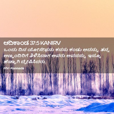 Picture 02 - ಆದಿಕಾಂಡ 37:5 KANIRV - ಒಂದು ದಿನ ಯೋಸೇಫನು - Bible Verse Picture