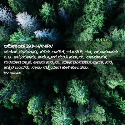 Picture 02 - ಆದಿಕಾಂಡ 39:14 KANIRV - ಮನೆಯ ಸೇವಕರನ್ನು - Bible Verse Picture