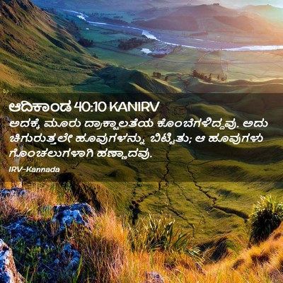 Picture 02 - ಆದಿಕಾಂಡ 40:10 KANIRV - ಅದಕ್ಕೆ ಮೂರು - Bible Verse Picture