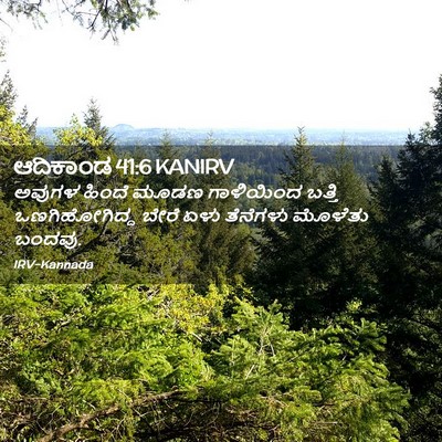 Picture 02 - ಆದಿಕಾಂಡ 41:6 KANIRV - ಅವುಗಳ ಹಿಂದೆ ಮೂಡಣ - Bible Verse Picture