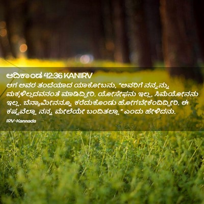 Picture 02 - ಆದಿಕಾಂಡ 42:36 KANIRV - ಆಗ ಅವರ ತಂದೆಯಾದ - Bible Verse Picture