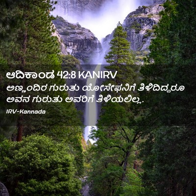 Picture 02 - ಆದಿಕಾಂಡ 42:8 KANIRV - ಅಣ್ಣಂದಿರ ಗುರುತು - Bible Verse Picture