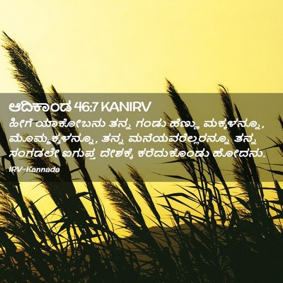 Picture 02 - ಆದಿಕಾಂಡ 46:7 KANIRV - ಹೀಗೆ ಯಾಕೋಬನು ತನ್ನ - Bible Verse Picture