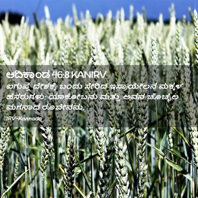 Picture 02 - ಆದಿಕಾಂಡ 46:8 KANIRV - ಐಗುಪ್ತ ದೇಶಕ್ಕೆ - Bible Verse Picture