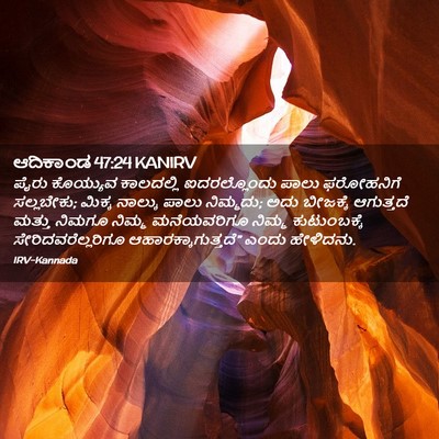 Picture 02 - ಆದಿಕಾಂಡ 47:24 KANIRV - ಪೈರು ಕೊಯ್ಯುವ - Bible Verse Picture