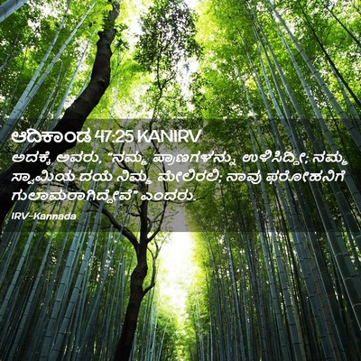 Picture 02 - ಆದಿಕಾಂಡ 47:25 KANIRV - ಅದಕ್ಕೆ ಅವರು, “ನಮ್ಮ - Bible Verse Picture
