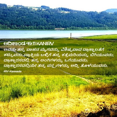 Picture 02 - ಆದಿಕಾಂಡ 49:11 KANIRV - ಅವನು ತನ್ನ ವಾಹನ - Bible Verse Picture